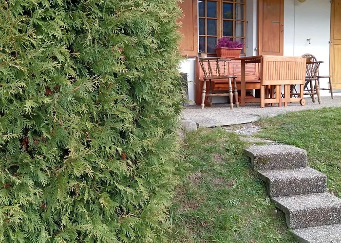 Cozy In The Heart Of The Alps * Chateau-d'Oex