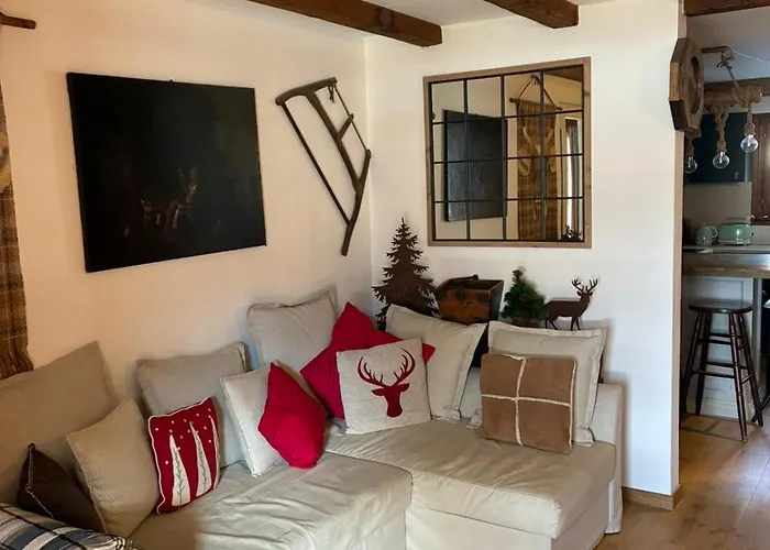 Cozy In The Heart Of The Alps Château-d'Oex